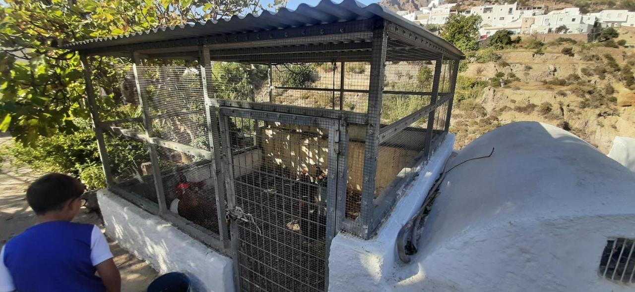 Cortijo Ferre, A Los Pies Del Castillo La Atalaya De Níjar Exterior foto