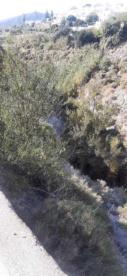 Cortijo Ferre, A Los Pies Del Castillo La Atalaya De Níjar Exterior foto